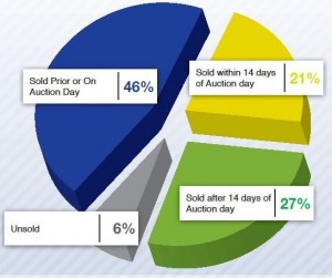 Auction success piechart Jan 2011