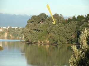 Ngataringa