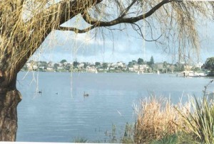733-MI0006028-KitchenerRoad-Milford-MilfordTakapuna-North-Shore-City-Auckland-New-Zealand