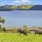 387 Ridge Road Mahurangi | Waterfront Acreage
